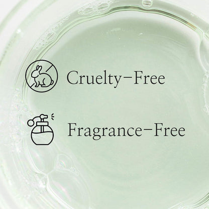 Beauty of Joseon Green Plum Refreshing Toner : AHA + BHA - 150ml