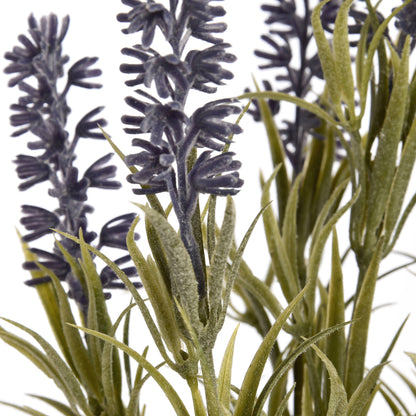 Lavender Spray - Small