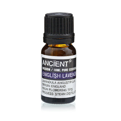 English Lavender Essential Oil 10 ml