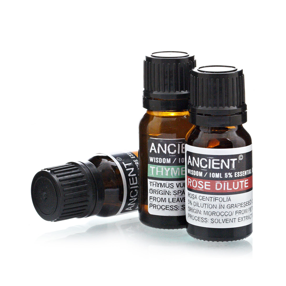Rose Dilute Essential Oil - 10 ml
