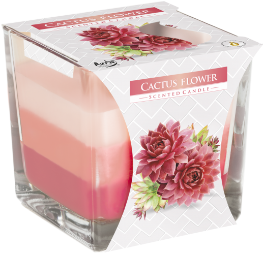 Rainbow Scented Candle in Square Glass Jar - Cactus Flower