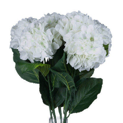White Head Hydrangea - Small