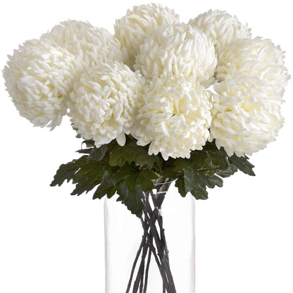 White Chrysanthemum - Large