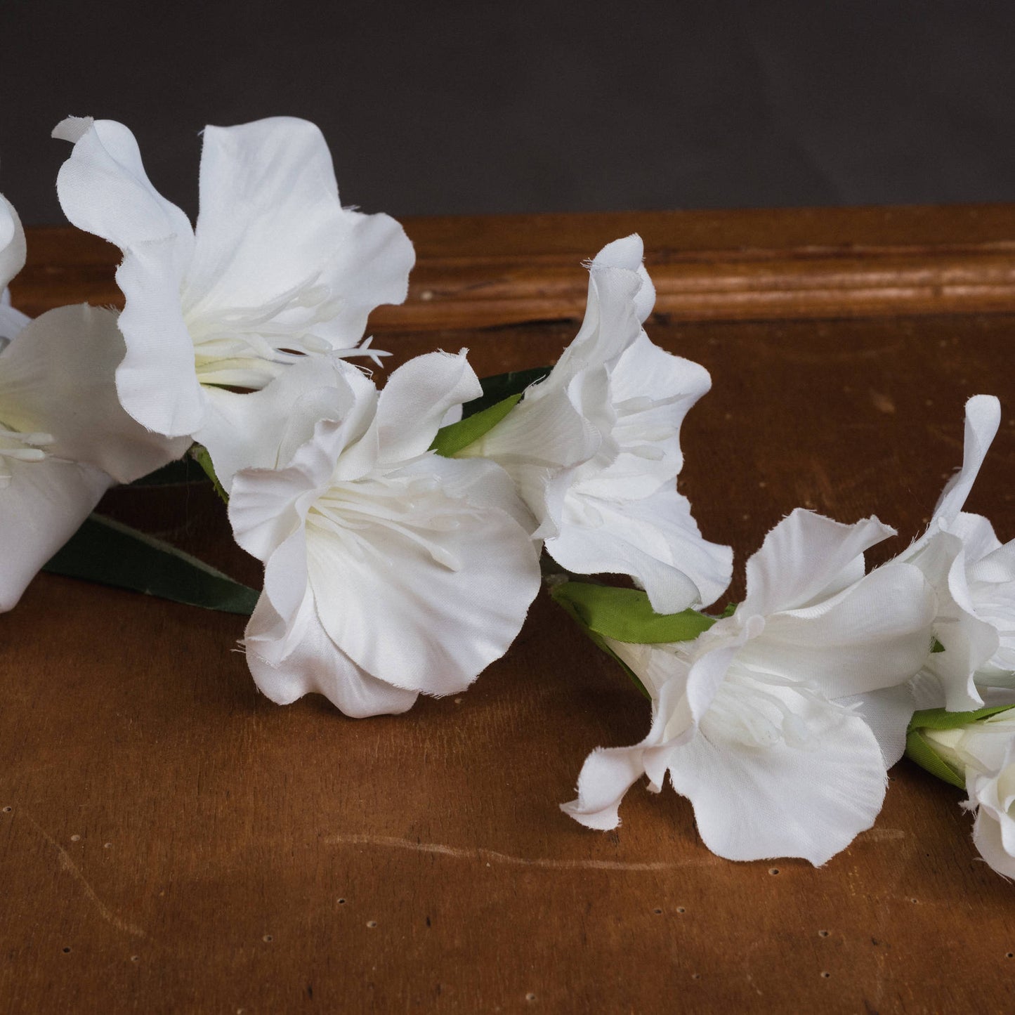White Gladioli Stem