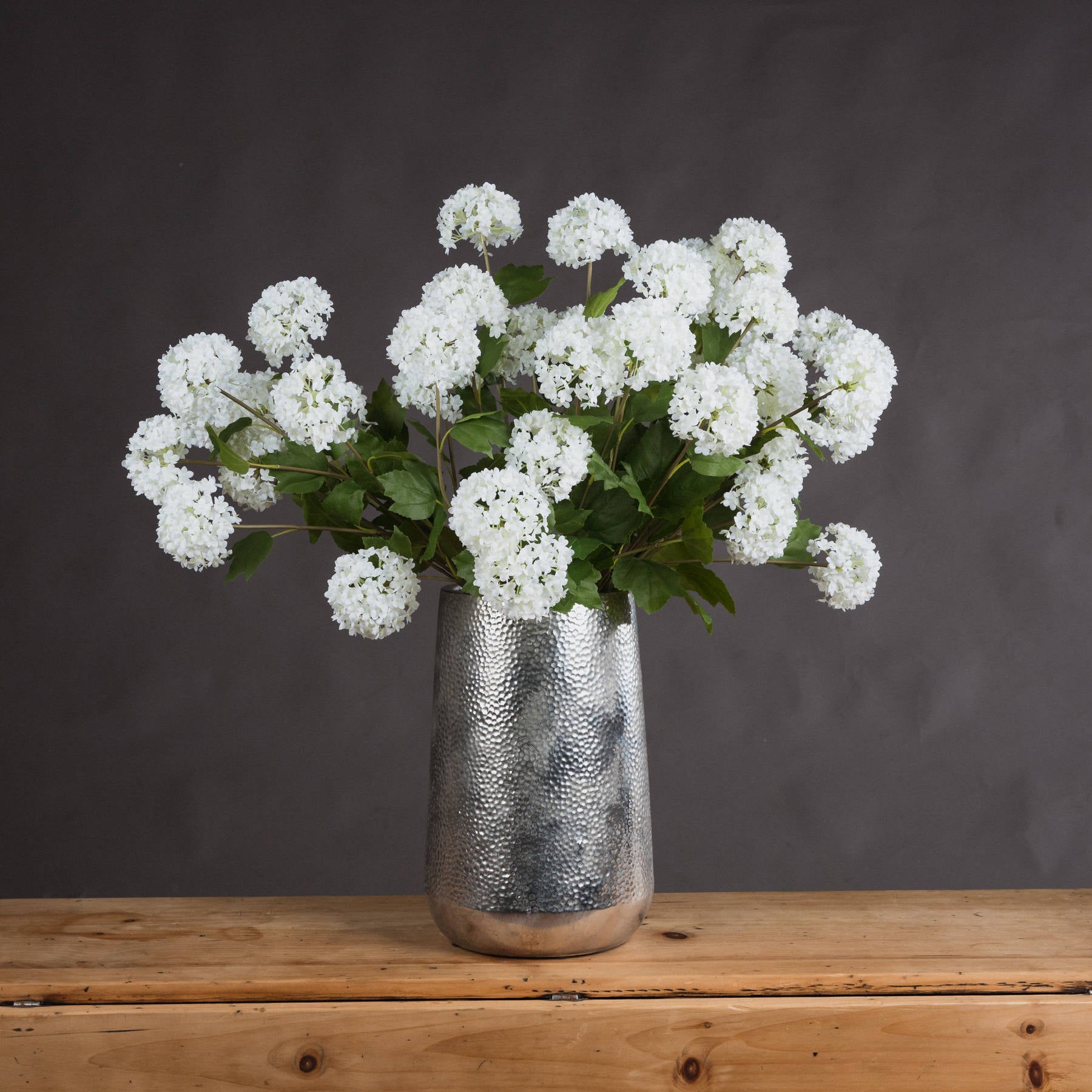 Viburnum Opulus Stem