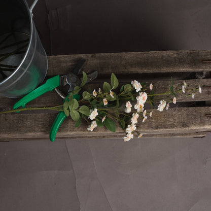 Cream Wild Meadow Rose Spray