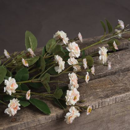 Cream Wild Meadow Rose Spray
