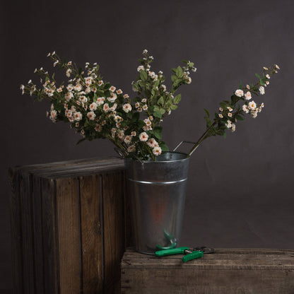 Cream Wild Meadow Rose Spray