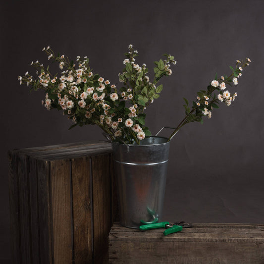 Cream Wild Meadow Rose Spray