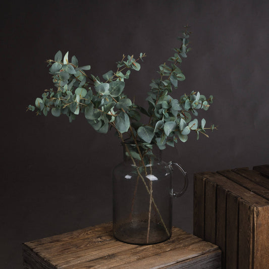 Variegated Eucalyptus Stem