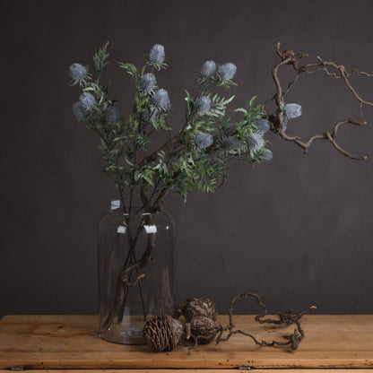 Eryngium Blue Thistle Stem