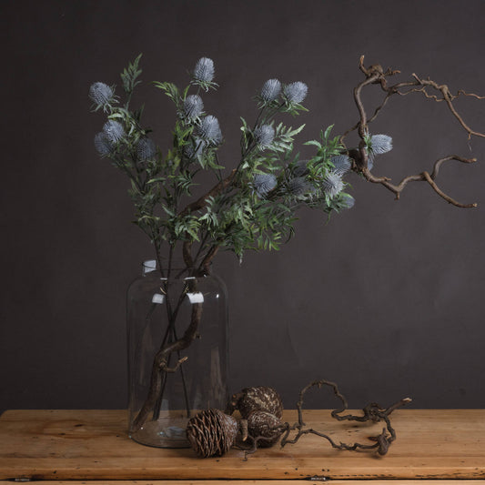 Eryngium Blue Thistle Stem