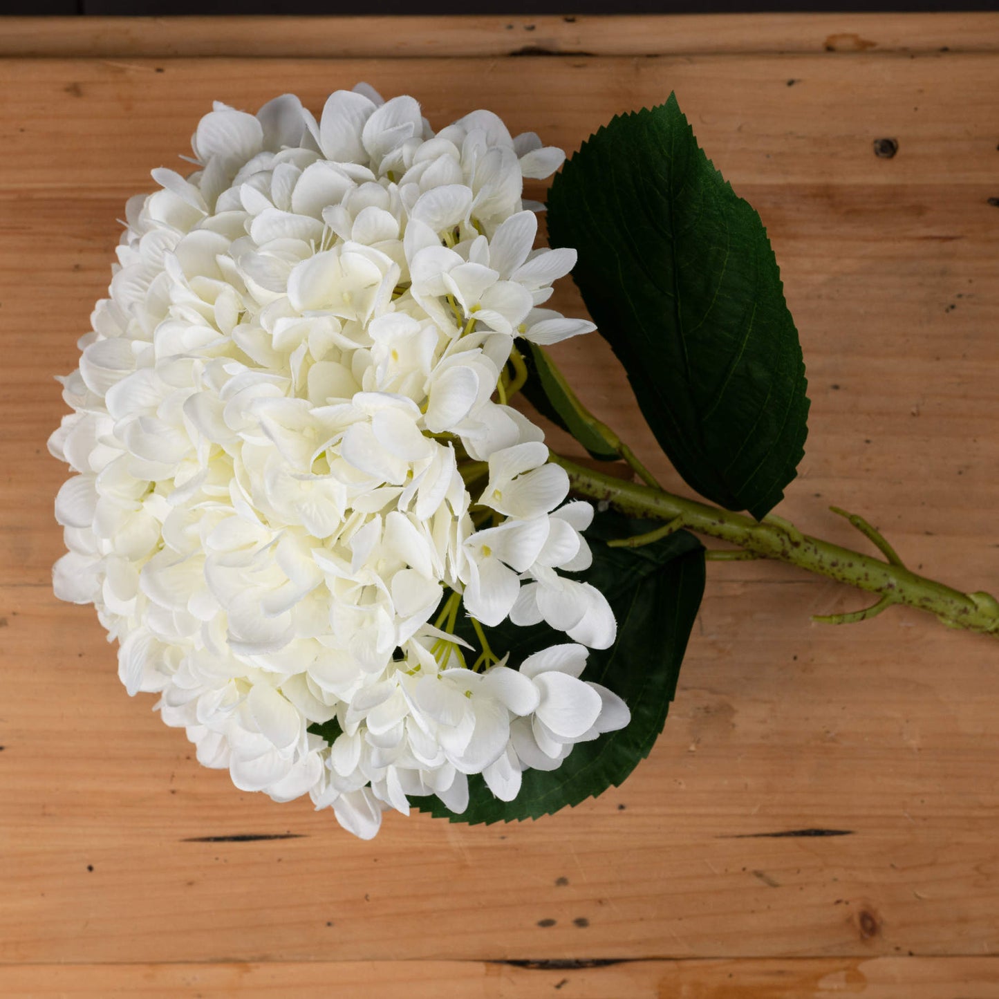 Oversized White Hydrangea Stem