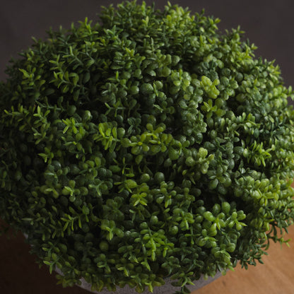 Hebe Globe Pot - Small