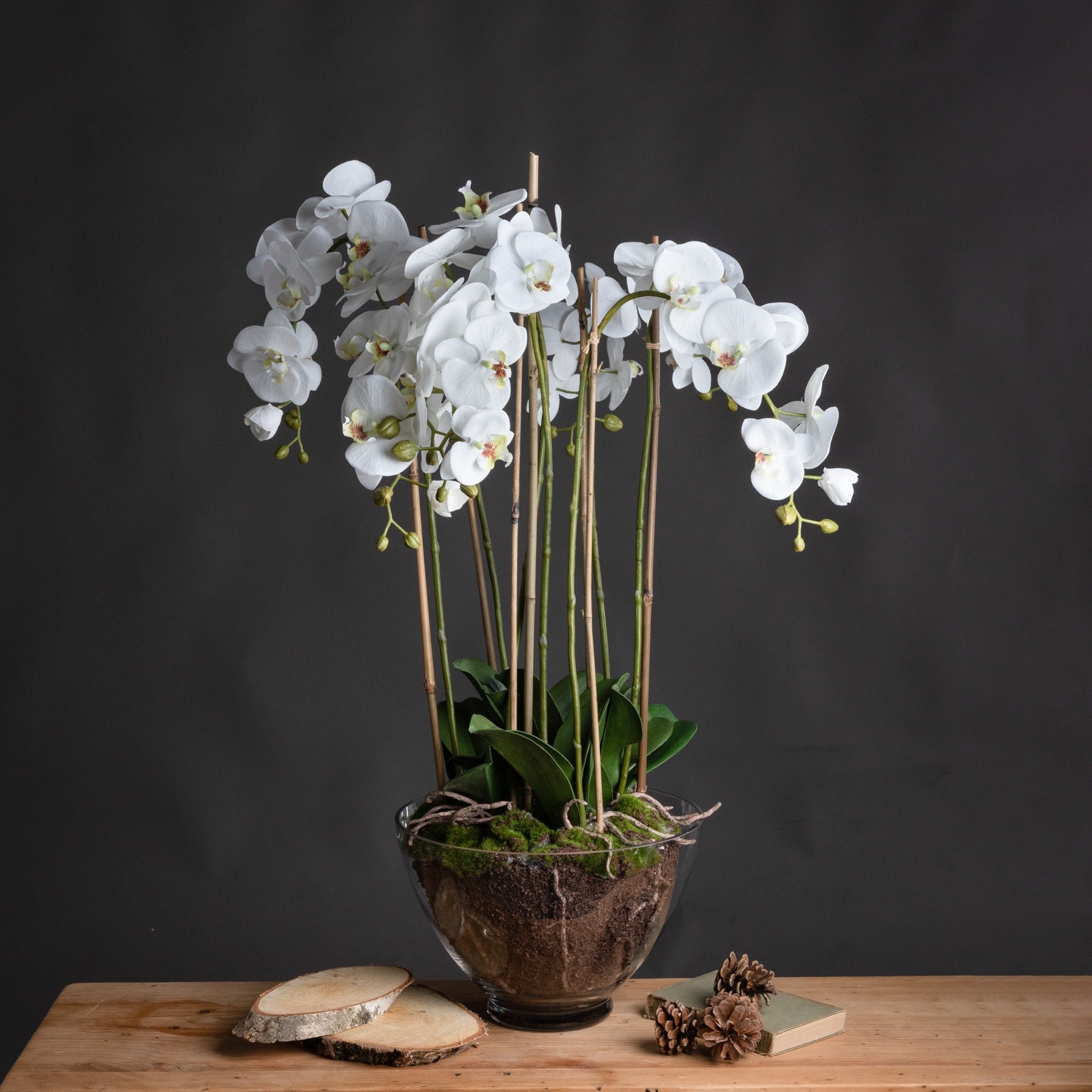 White Orchid In Glass Pot - Large