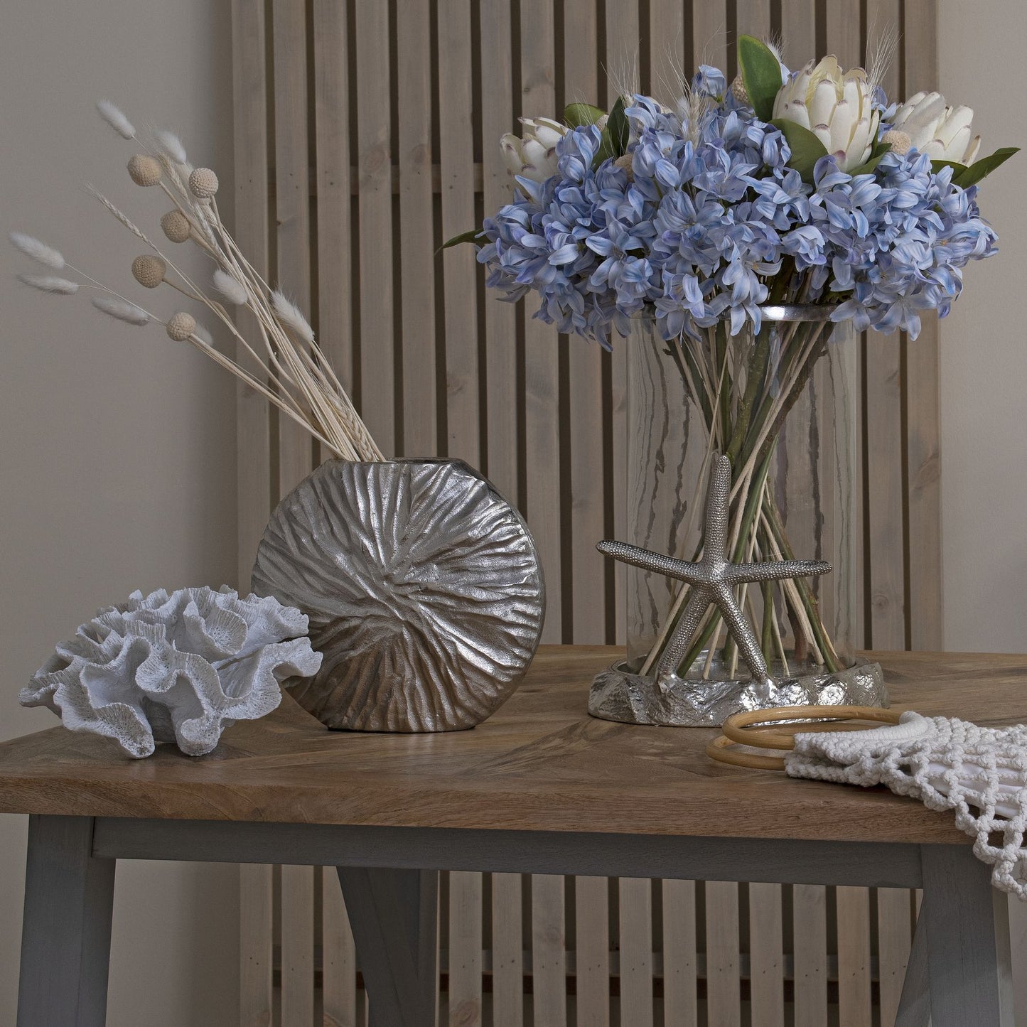 Light Blue Headed Agapanthus - Large