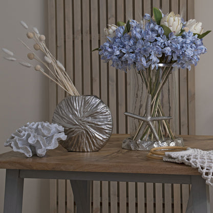 Light Blue Headed Agapanthus - Large