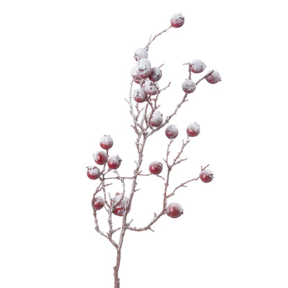 Red Festive Berry - Large