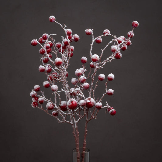 Red Festive Berry - Large