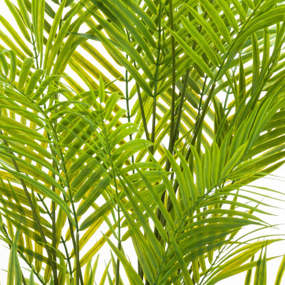 Paradise Potted Palm - Large