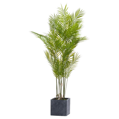 Paradise Potted Palm - Large