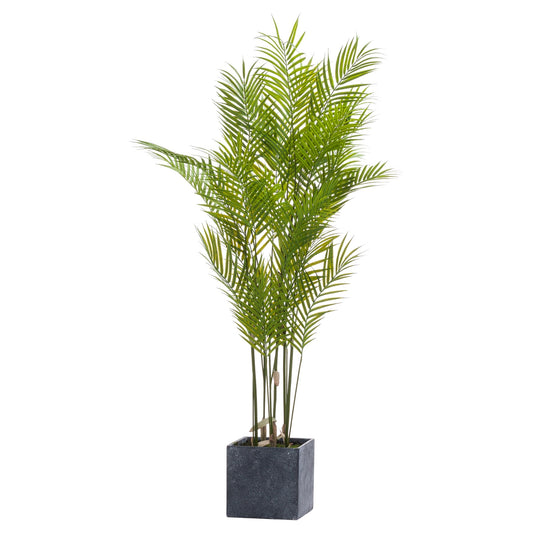 Paradise Potted Palm - Large