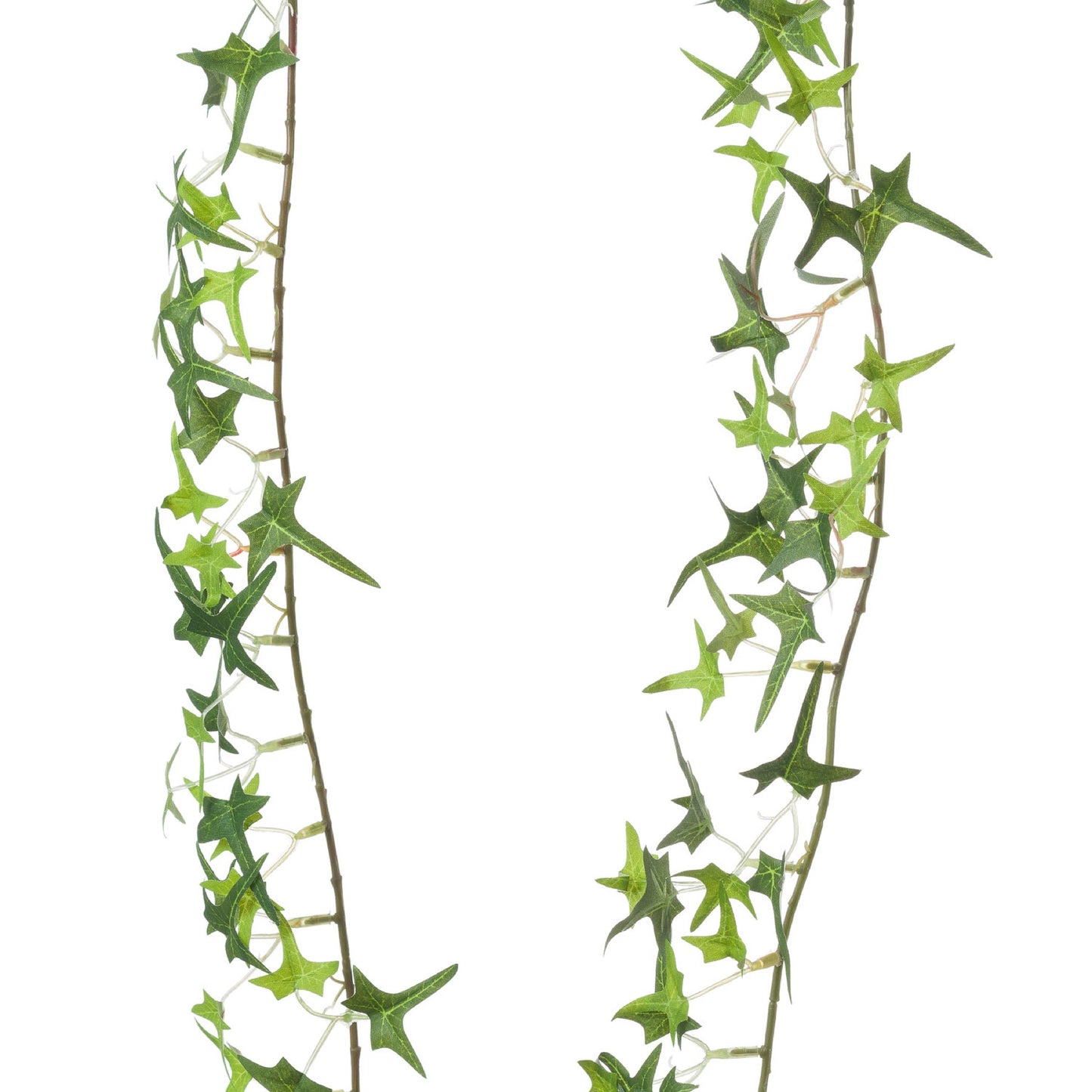 Ivy Garland - Small