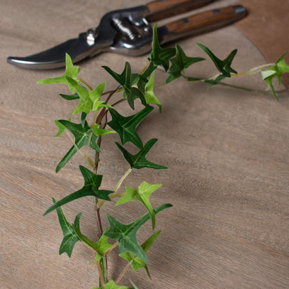 Ivy Garland - Small