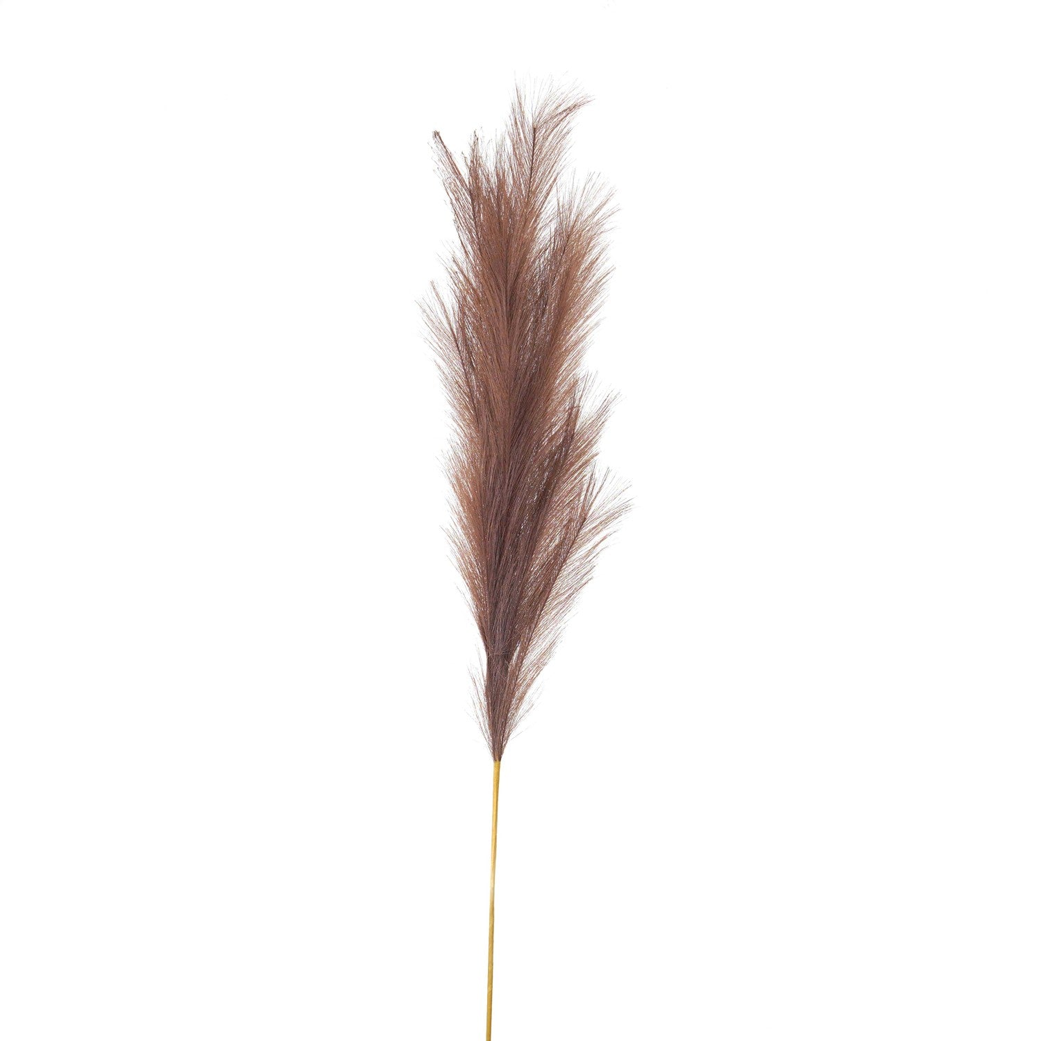 Taupe Faux Pampas Grass Stem - Large