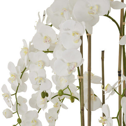 White Orchid In Antique Stone Pot - Large