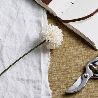 White Chrysanthemum Stem