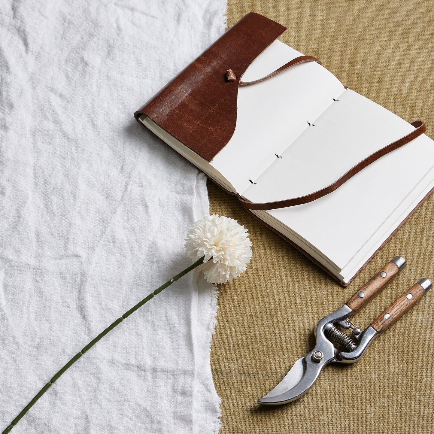 White Chrysanthemum Stem