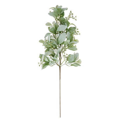 Winter Sprig With Lambs Ear And Wax Flower - Large