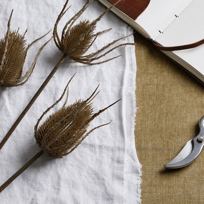 Brown Triple Teasle Stem - Large