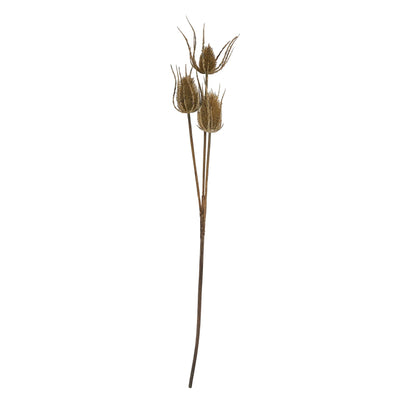 Brown Triple Teasle Stem - Large