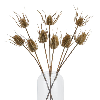 Brown Triple Teasle Stem - Large