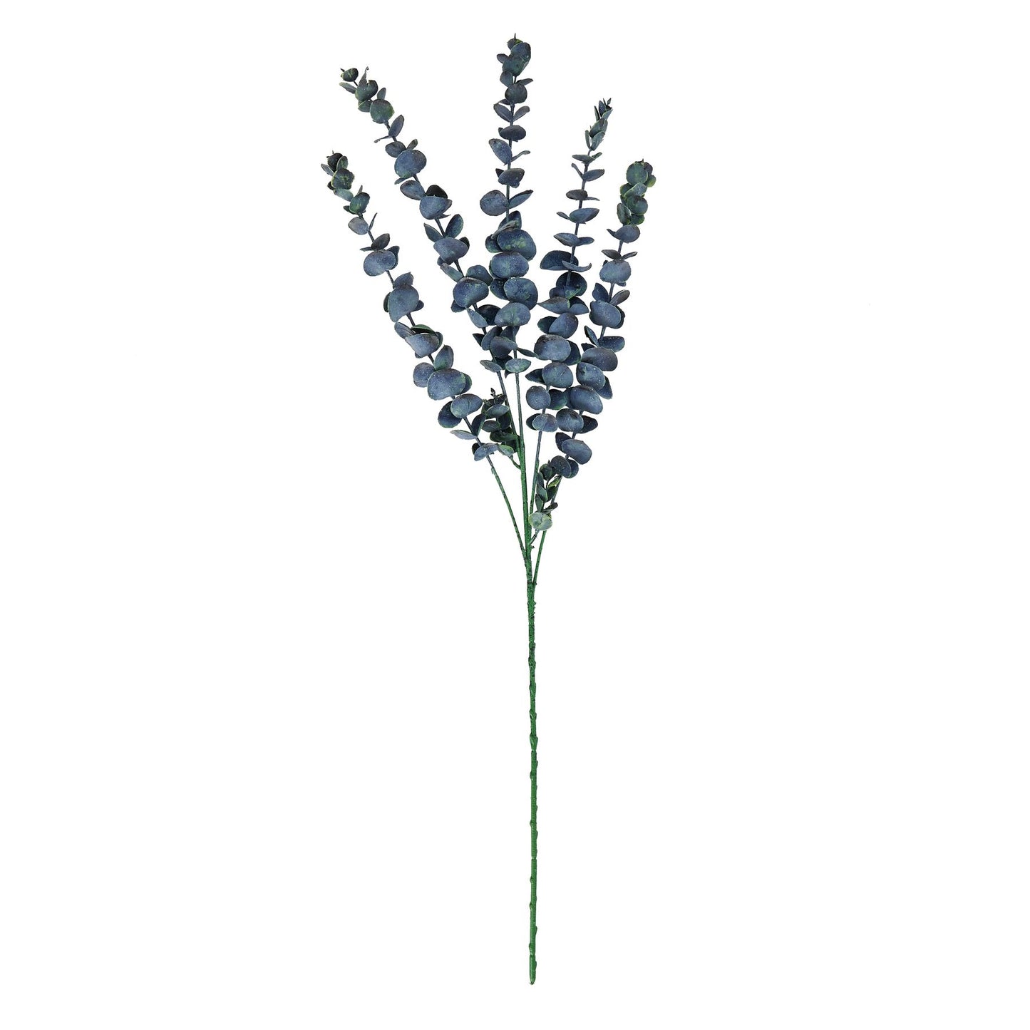 Blue Eucalyptus Stem - Large