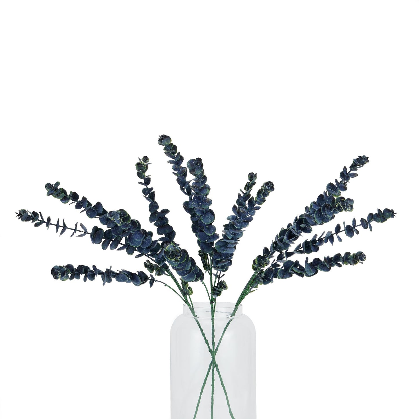 Blue Eucalyptus Stem - Large