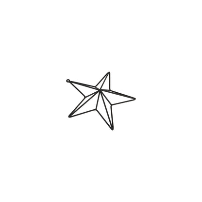 Matt Black Convexed Star Frame - Medium