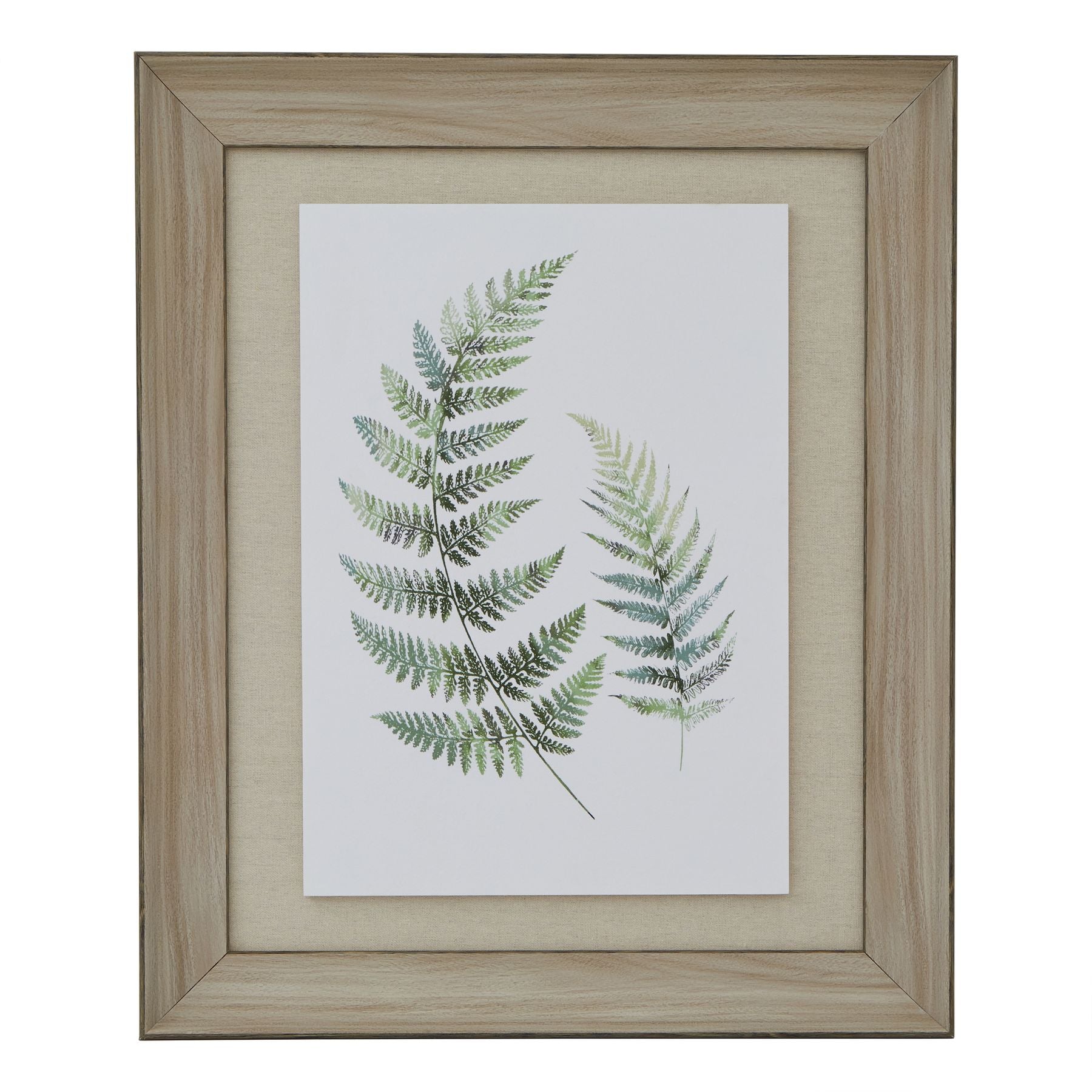 Watercolour Fern Duo Print In Washed Wood Frame