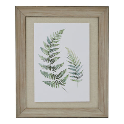 Watercolour Fern Duo Print In Washed Wood Frame