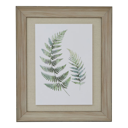 Watercolour Fern Duo Print In Washed Wood Frame