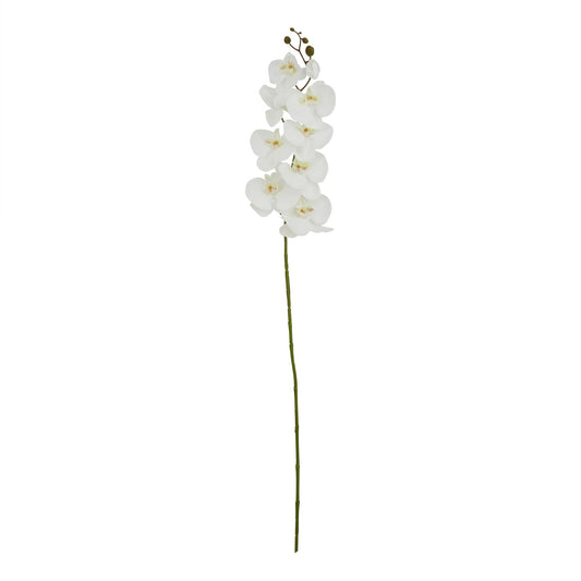White Butterfly Orchid Stem - Tall