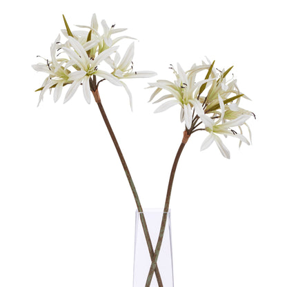 The Natural Garden Collection White Lily Stem