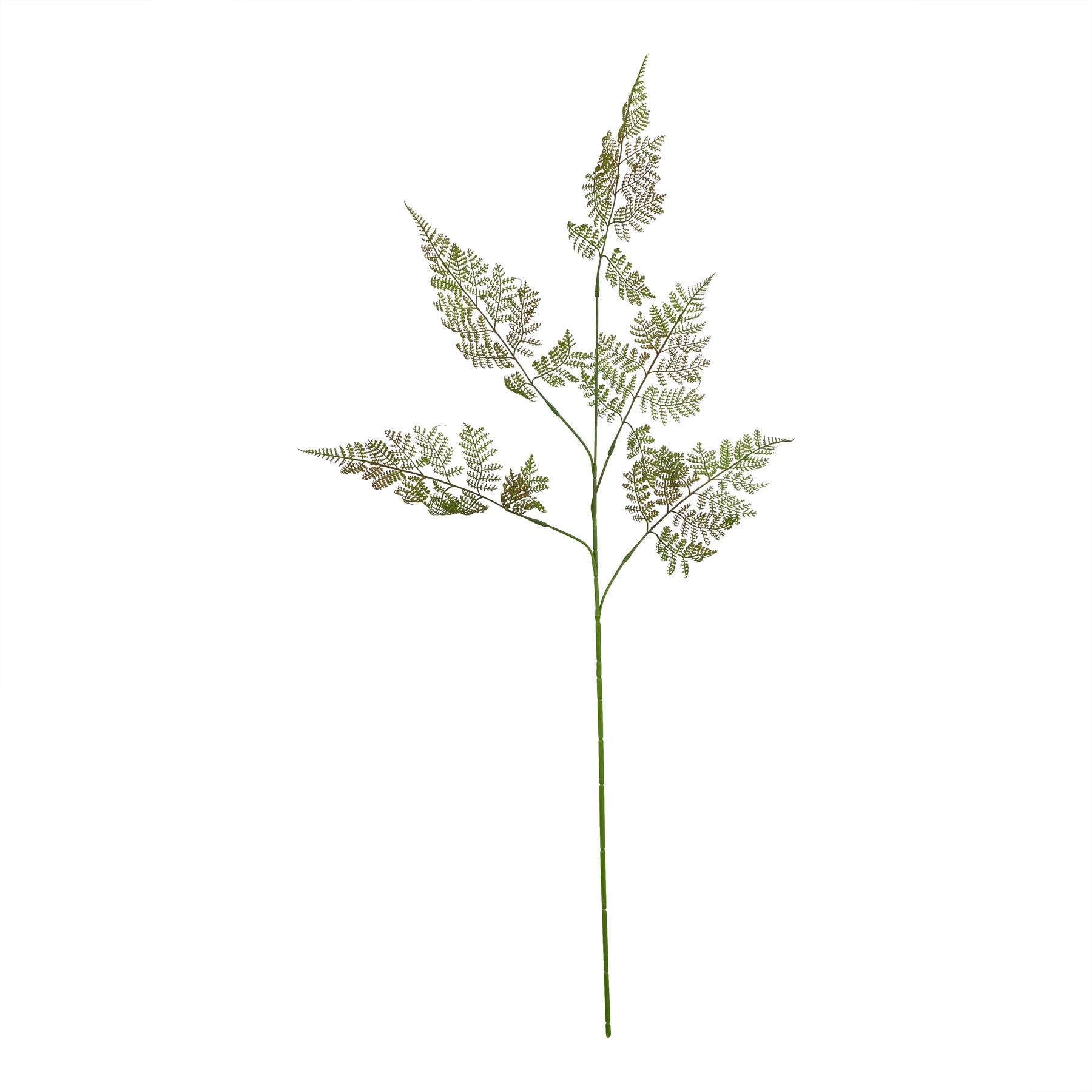 The Natural Garden Collection Bracken Fern Spray - Large