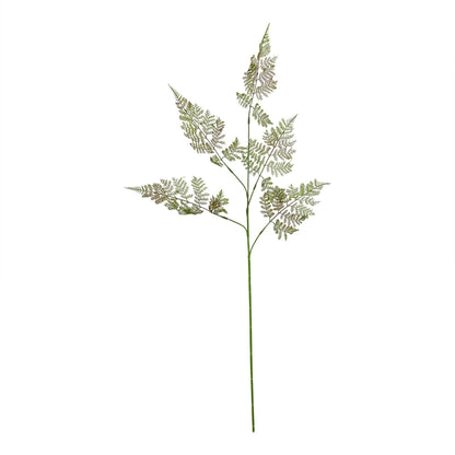 The Natural Garden Collection Bracken Fern Spray - Large
