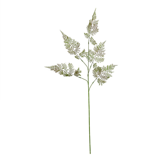 The Natural Garden Collection Bracken Fern Spray - Large