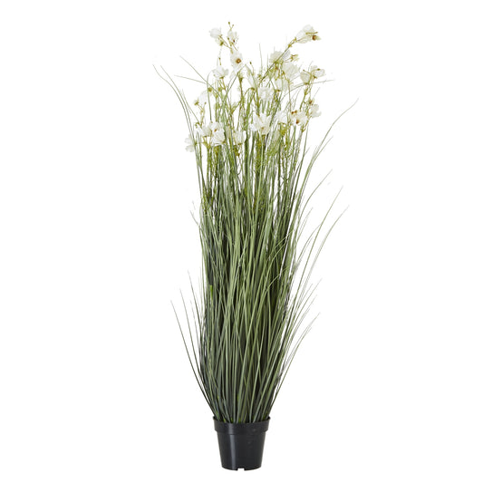 White Meadow Plant In Pot - Large