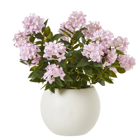 Pink Hydrangea Plant In Pot - Large