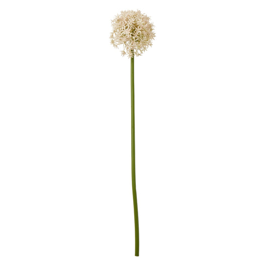 Pink Allium Stem - Medium